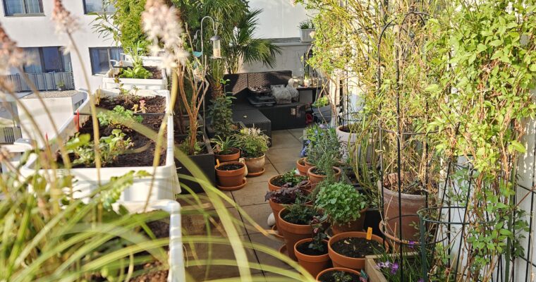 Balkontagebuch – Der Westbalkon im März