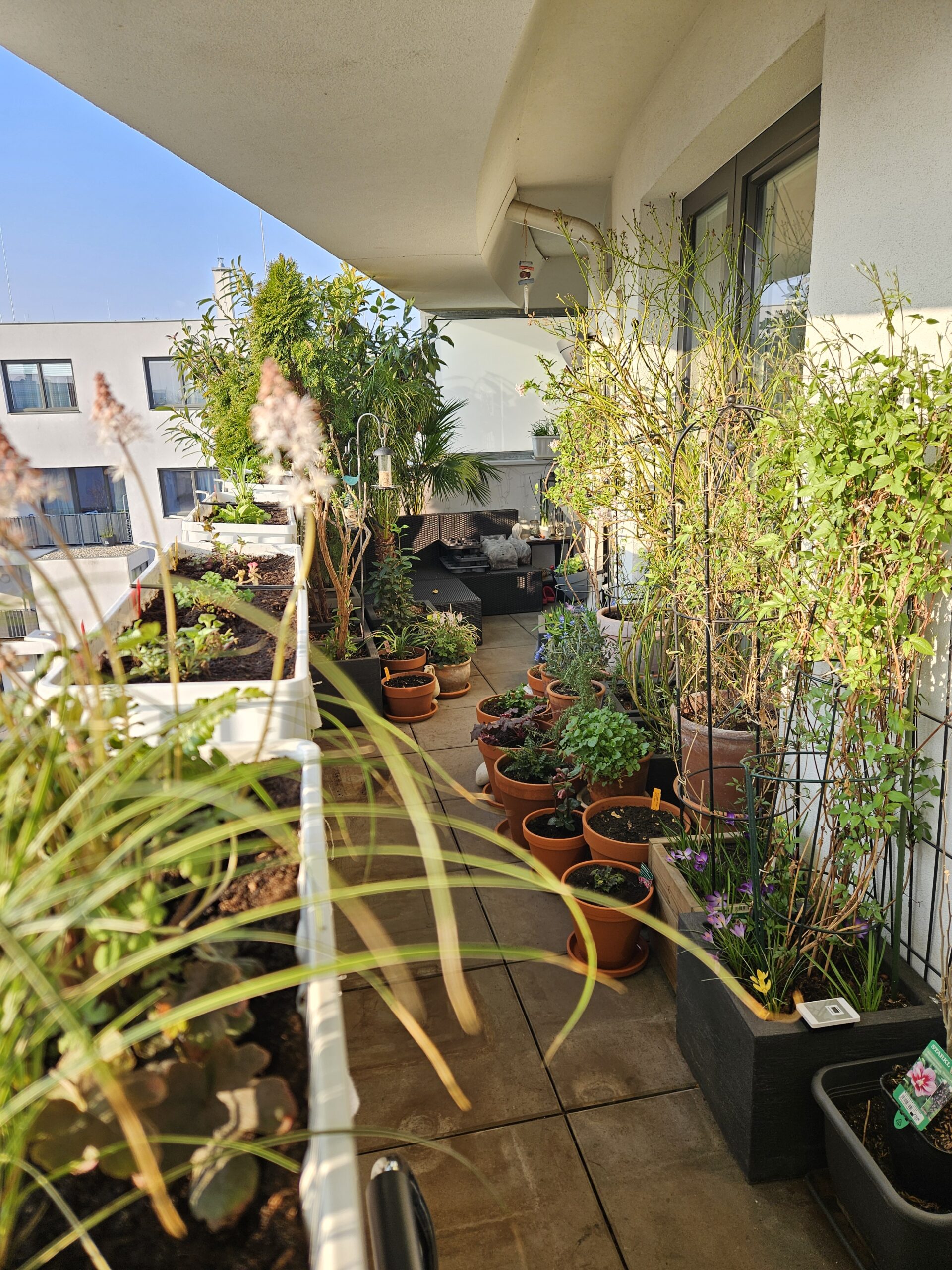 Balkontagebuch – Der Westbalkon im März