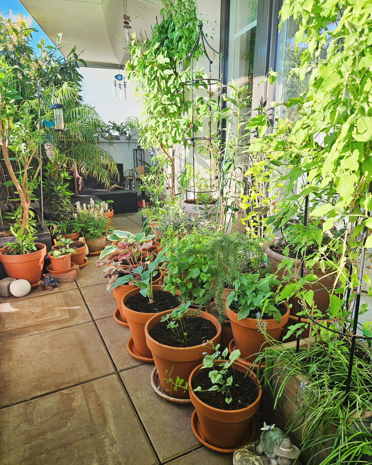 Balkontagebuch – Der Westbalkon im April